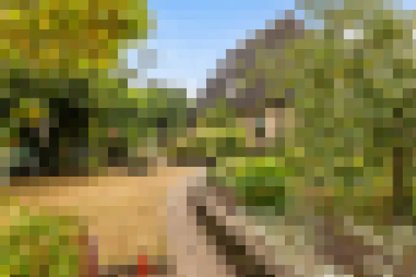 Heidelaan 70 't Harde thumbnail 49