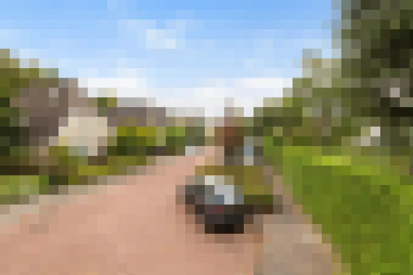 Heidelaan 70 't Harde thumbnail 5