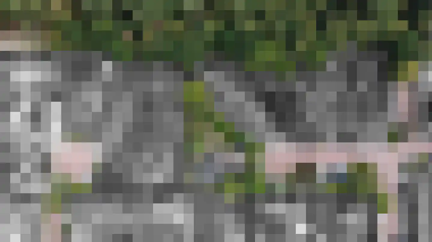 Heidelaan 70 't Harde thumbnail 51