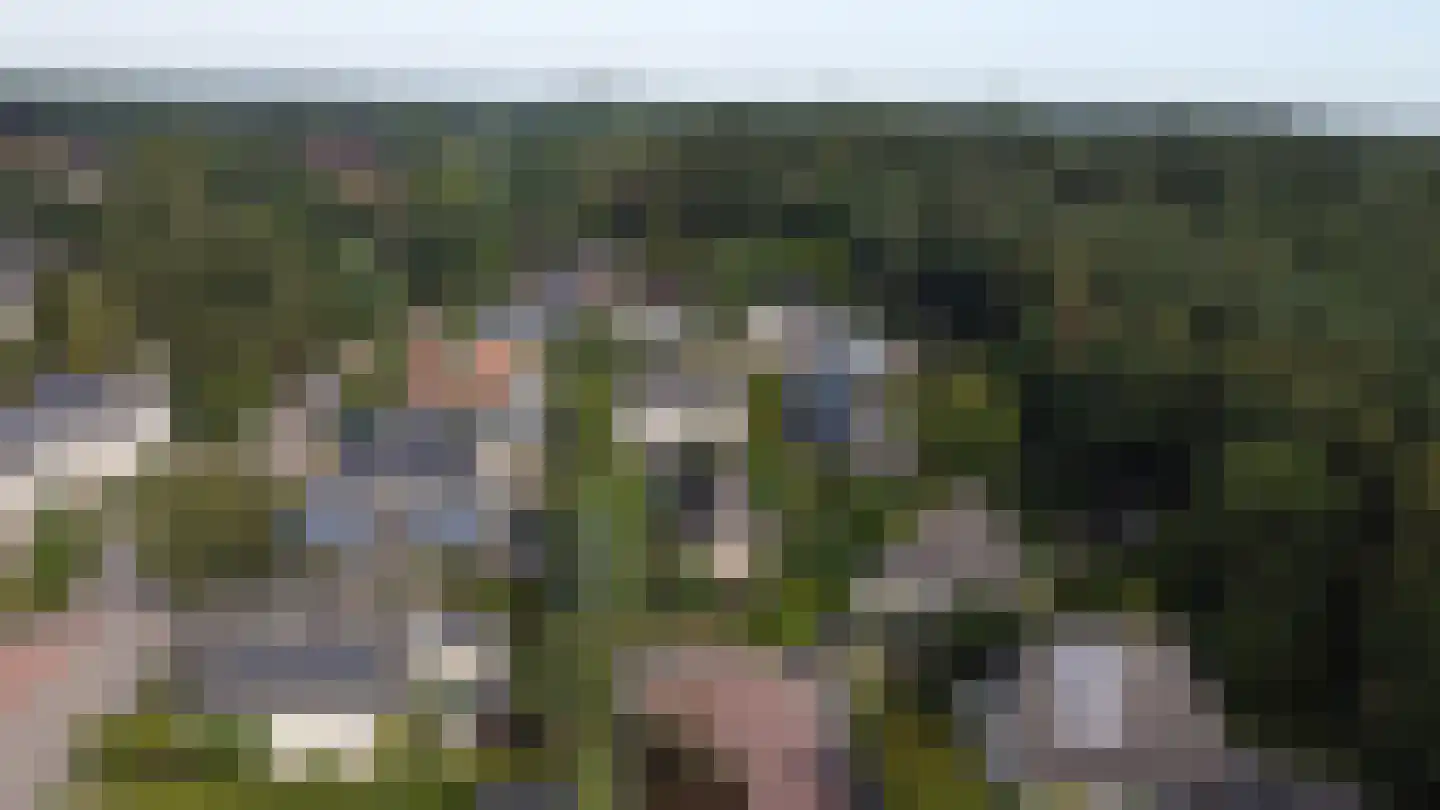 Heidelaan 70 't Harde thumbnail 52