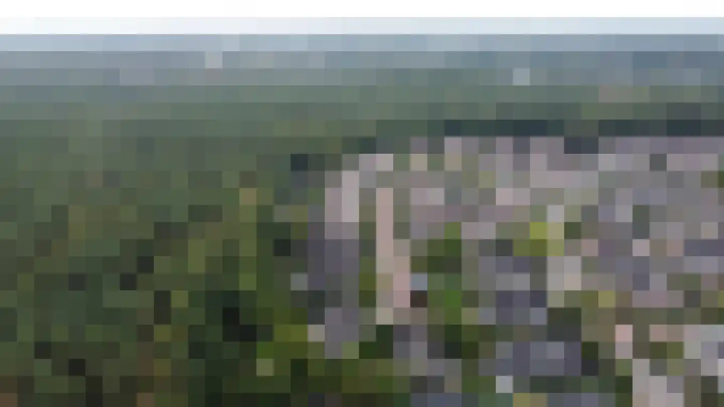 Heidelaan 70 't Harde thumbnail 53