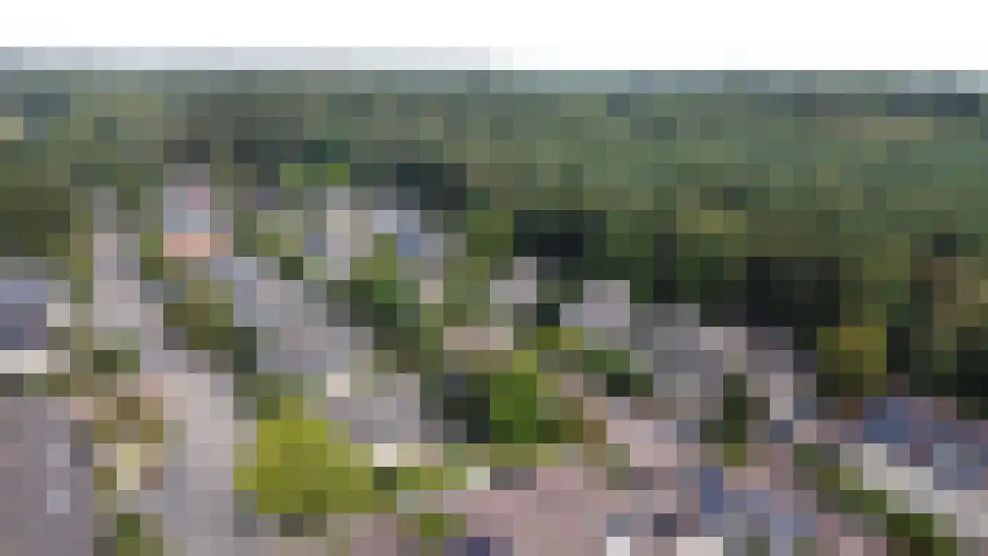 Heidelaan 70 't Harde thumbnail 54