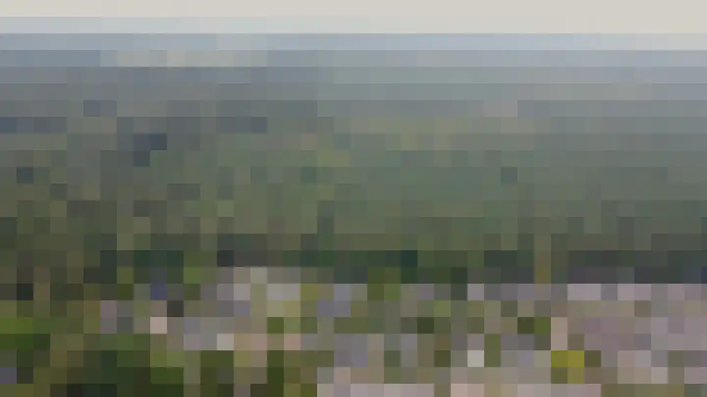 Heidelaan 70 't Harde thumbnail 55