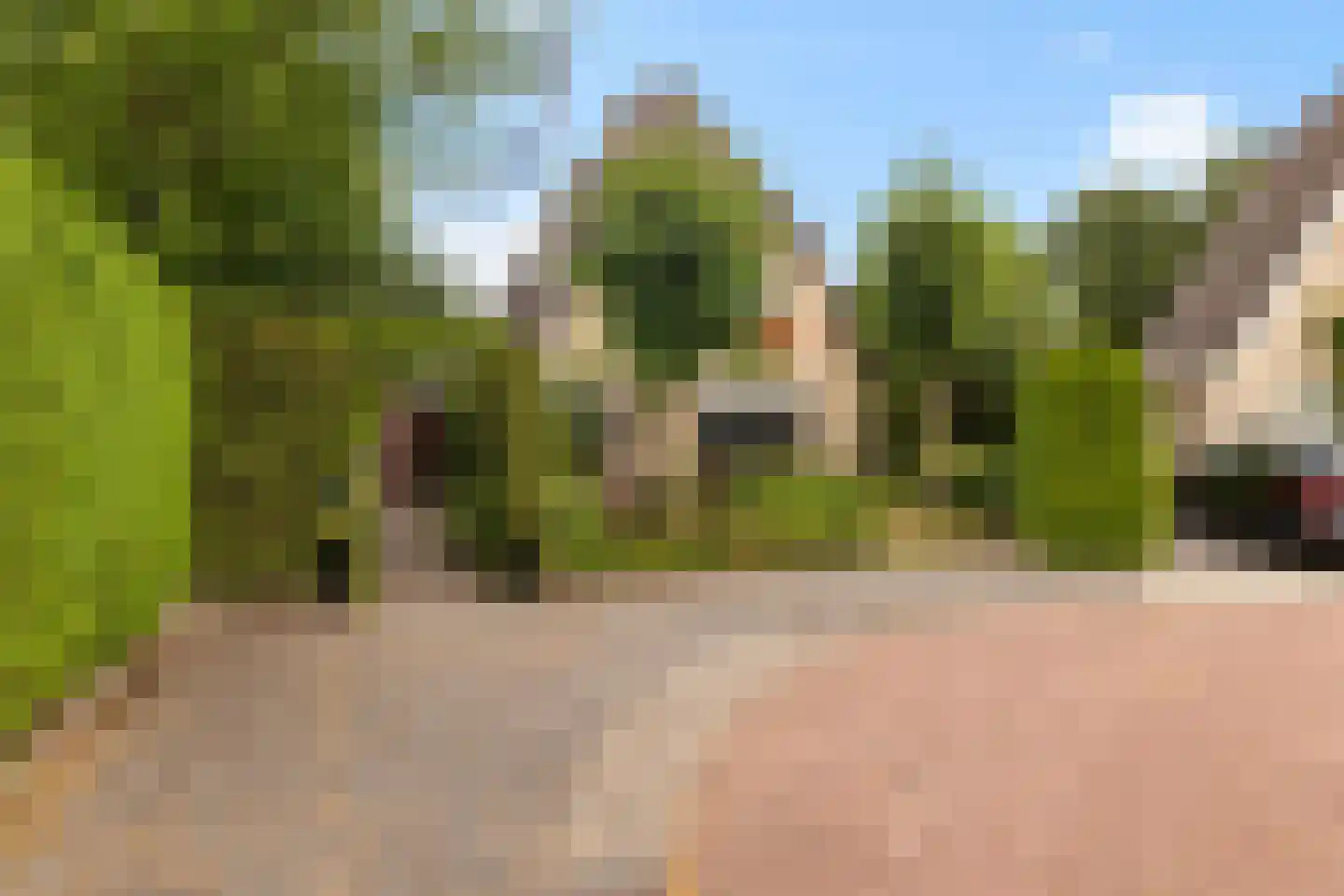 Heidelaan 70 't Harde thumbnail 6