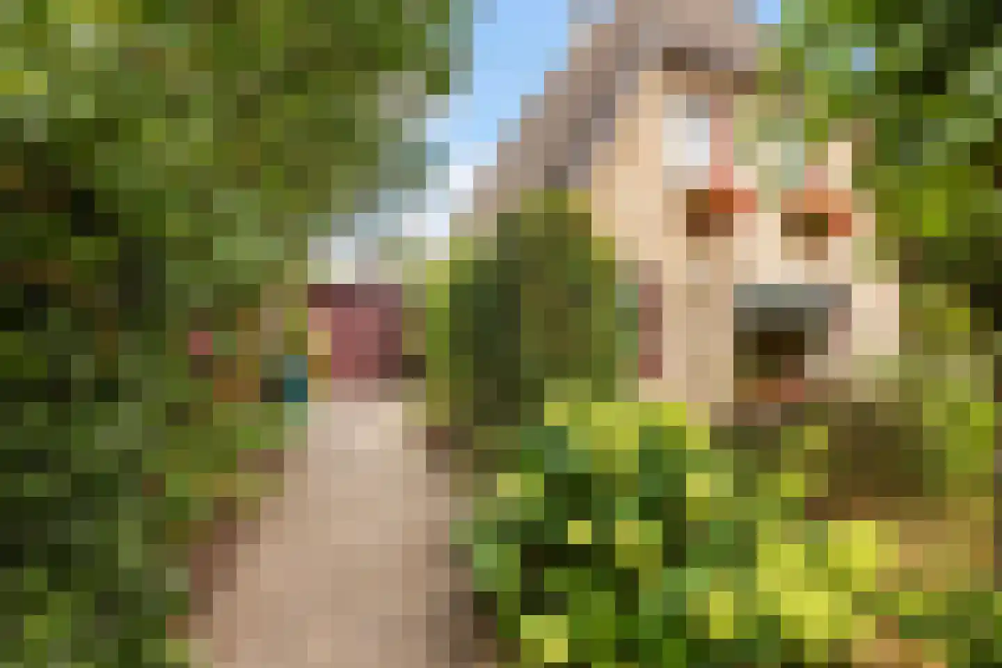 Heidelaan 70 't Harde thumbnail 7