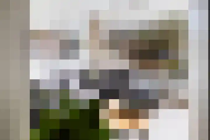 Heidelaan 8 Ermelo thumbnail 14