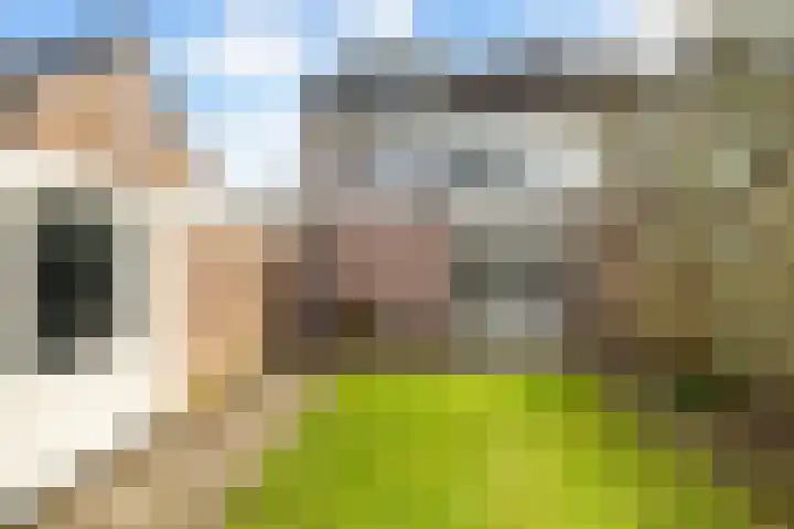 Heidelaan 8 Ermelo thumbnail 26