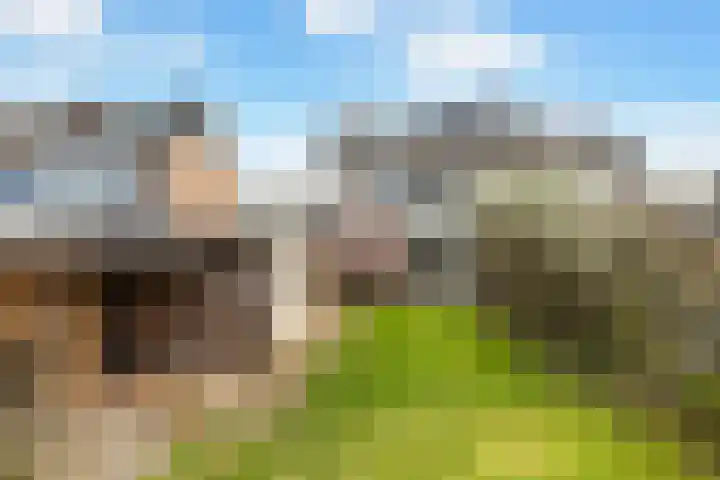 Heidelaan 8 Ermelo thumbnail 27