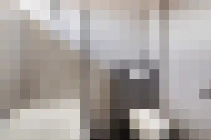 Heidelaan 8 Ermelo thumbnail 39