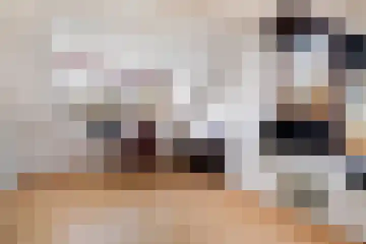 Heidelaan 8 Ermelo thumbnail 40