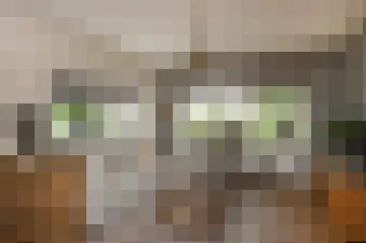 Heidelaan 9 Emmen thumbnail 10