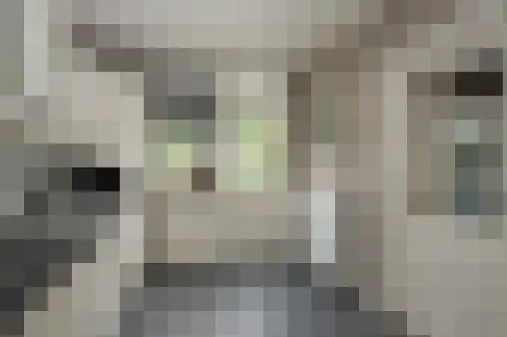 Heidelaan 9 Emmen thumbnail 18
