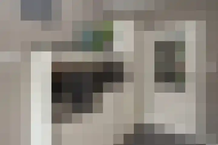Heidelaan 9 Emmen thumbnail 23