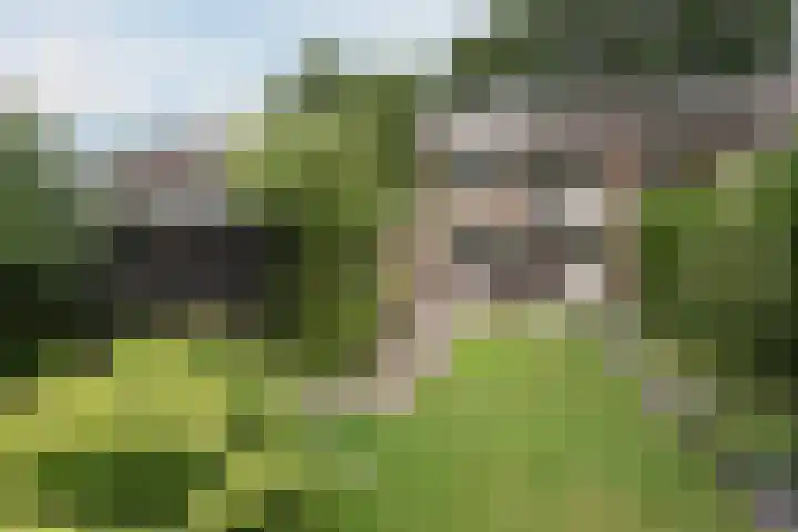 Heidelaan 9 Emmen thumbnail 4