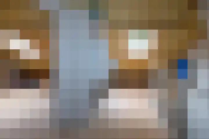 Heidelaan 9 Emmen thumbnail 42