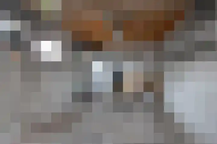 Heidelaan 9 Emmen thumbnail 44