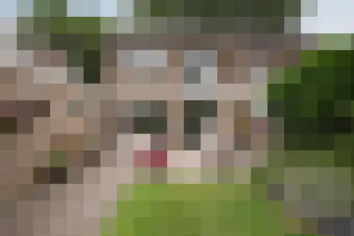 Heidelaan 9 Emmen thumbnail 46