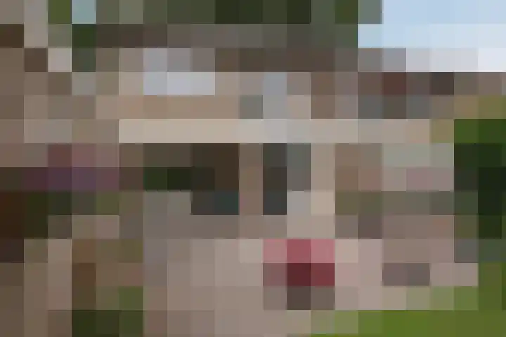Heidelaan 9 Emmen thumbnail 47