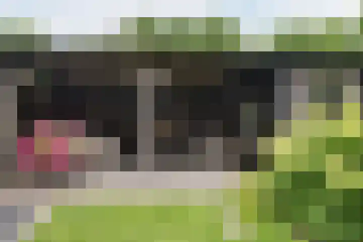 Heidelaan 9 Emmen thumbnail 5