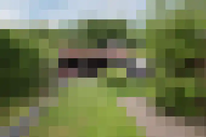 Heidelaan 9 Emmen thumbnail 51