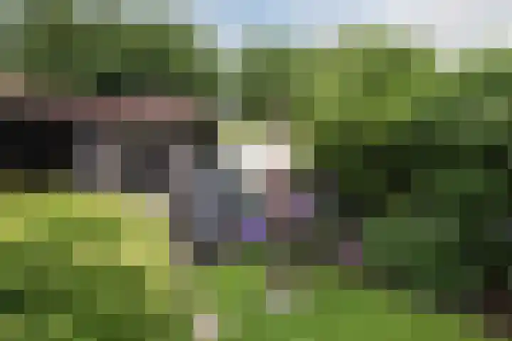 Heidelaan 9 Emmen thumbnail 52