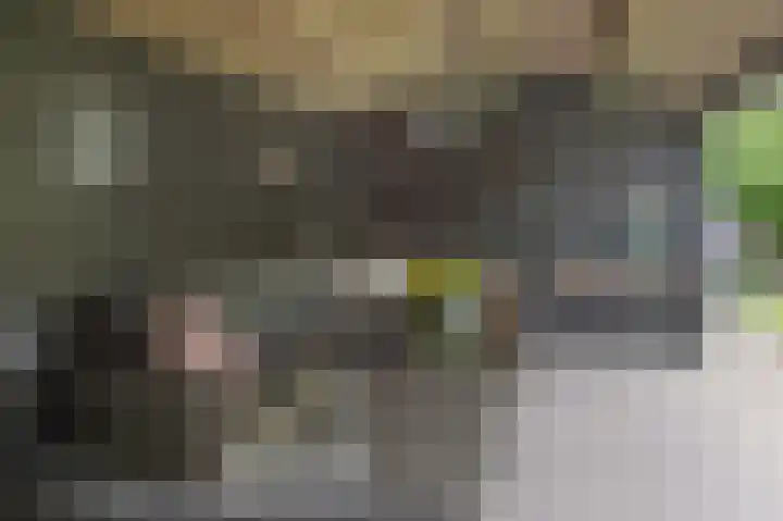 Heidelaan 9 Emmen thumbnail 53