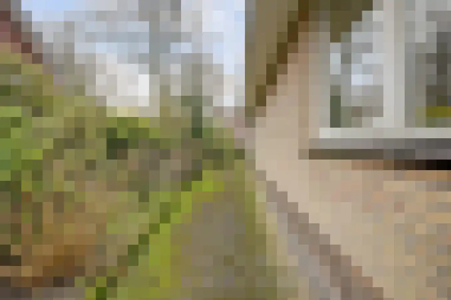 Heidelaantje 11 a Nunspeet thumbnail 25