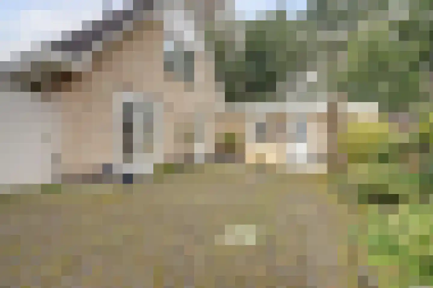 Heidelaantje 11 a Nunspeet thumbnail 26