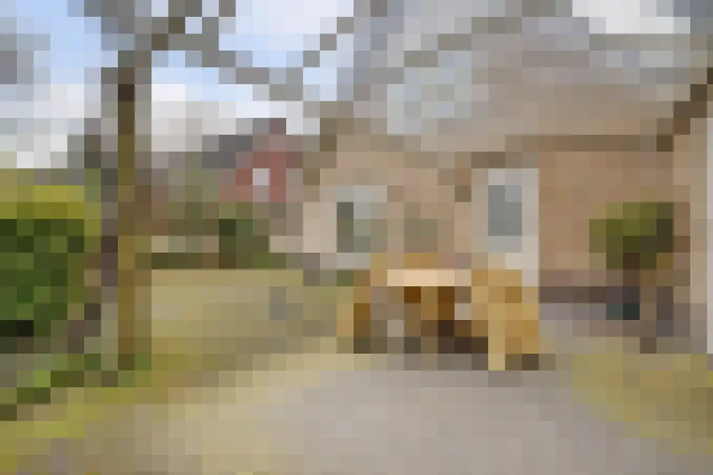 Heidelaantje 11 a Nunspeet thumbnail 27