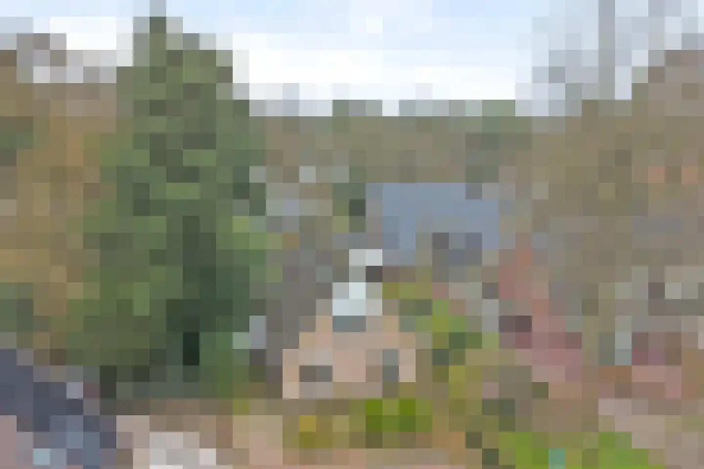 Heidelaantje 11 a Nunspeet thumbnail 33
