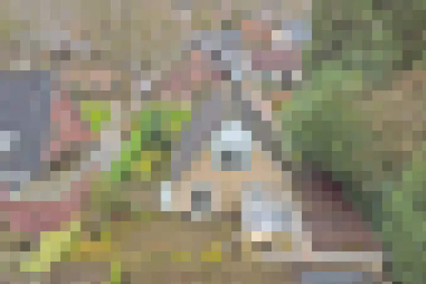 Heidelaantje 11 a Nunspeet thumbnail 5