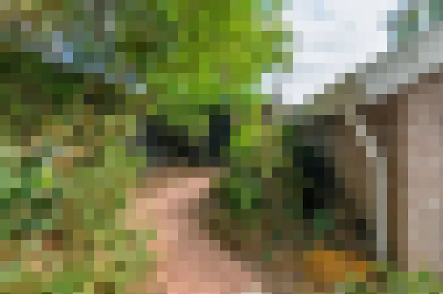 Heidemeer 20 Heerenveen thumbnail 48