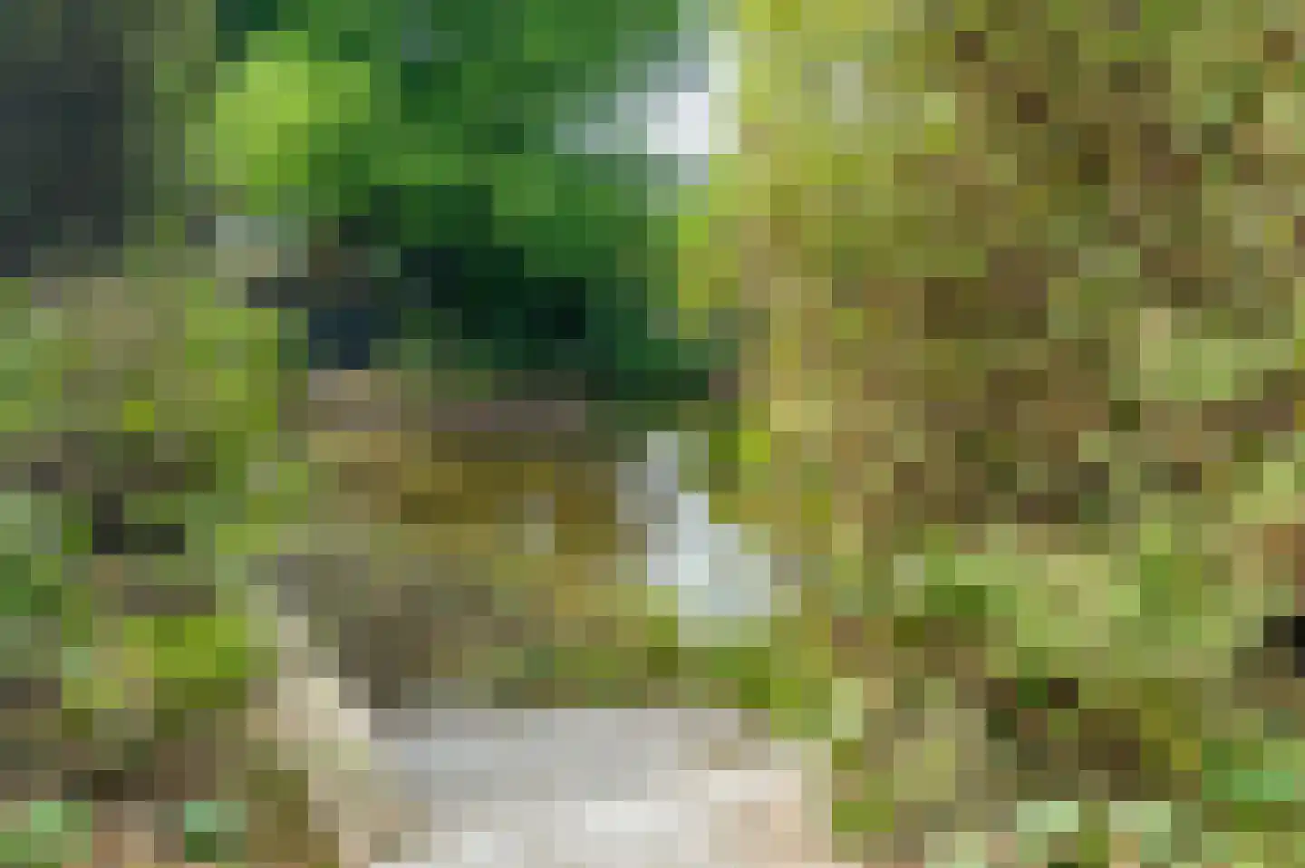 Heidemeer 20 Heerenveen thumbnail 49