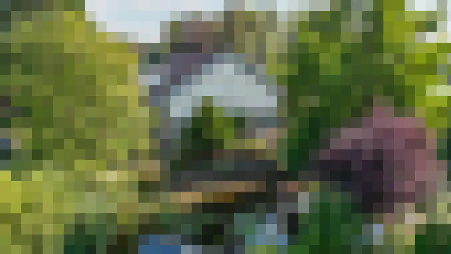 Heidemeer 20 Heerenveen thumbnail 5