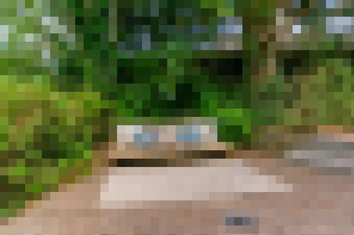 Heidemeer 20 Heerenveen thumbnail 54
