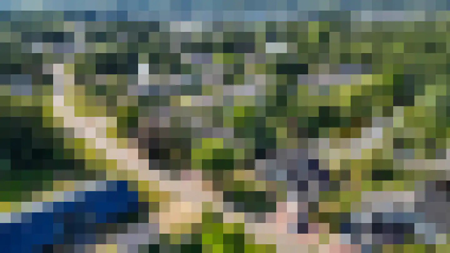 Heidemeer 20 Heerenveen thumbnail 61