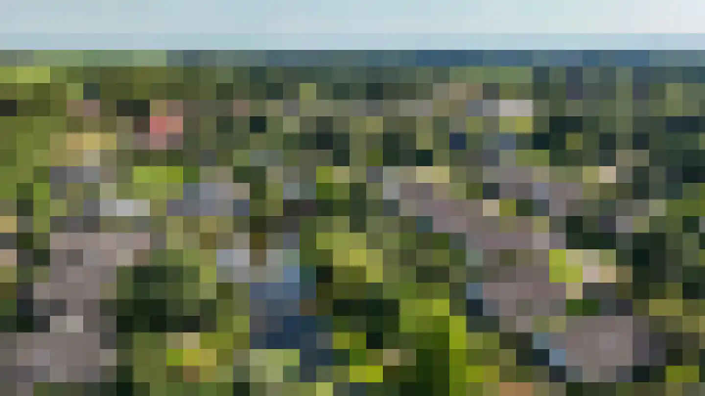Heidemeer 20 Heerenveen thumbnail 62