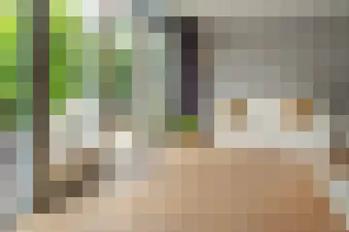 Heidemeer 23 Heerenveen thumbnail 13
