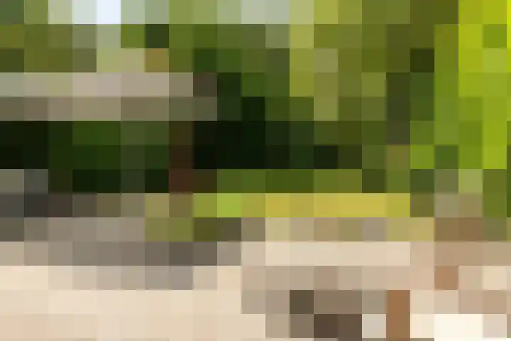 Heidemeer 23 Heerenveen thumbnail 14