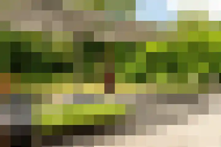 Heidemeer 23 Heerenveen thumbnail 15