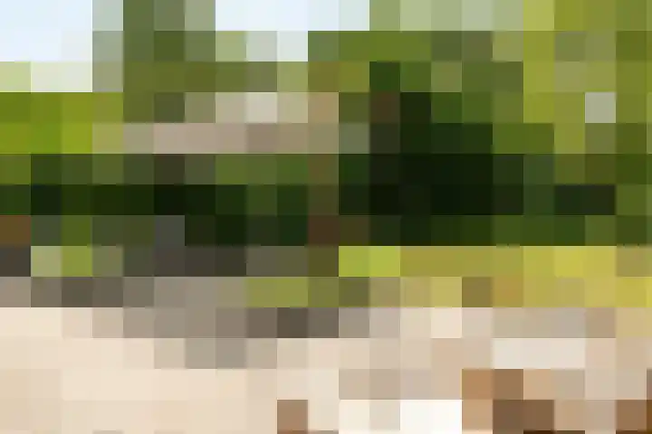 Heidemeer 23 Heerenveen thumbnail 16