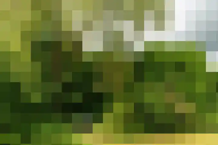 Heidemeer 23 Heerenveen thumbnail 30
