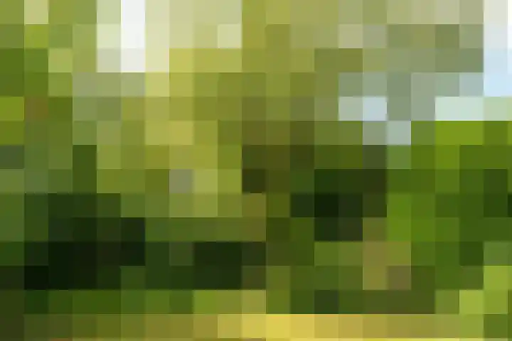 Heidemeer 23 Heerenveen thumbnail 31