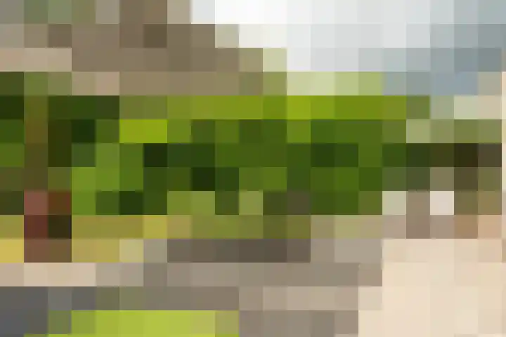 Heidemeer 23 Heerenveen thumbnail 33