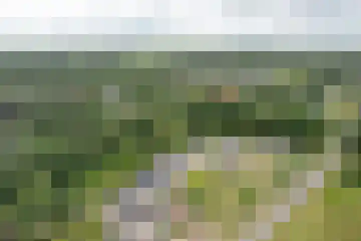 Heidemeer 23 Heerenveen thumbnail 34