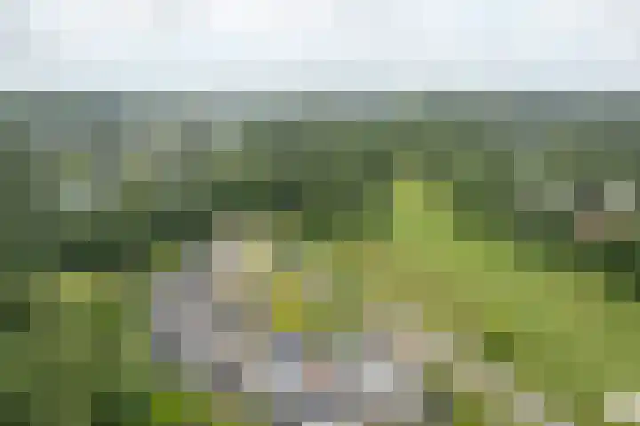 Heidemeer 23 Heerenveen thumbnail 35