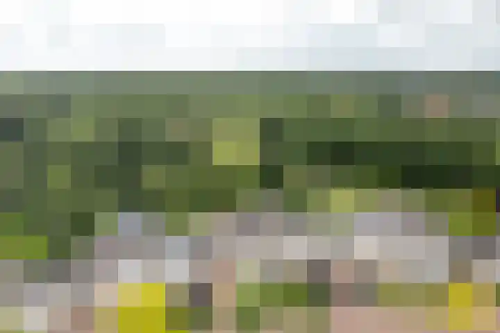 Heidemeer 23 Heerenveen thumbnail 36