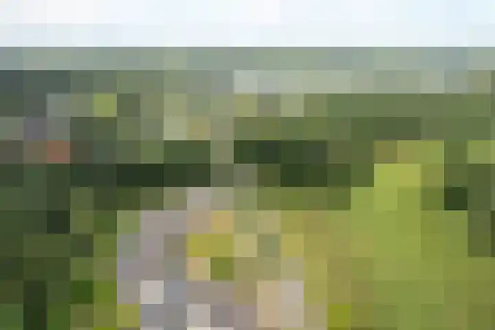 Heidemeer 23 Heerenveen thumbnail 37