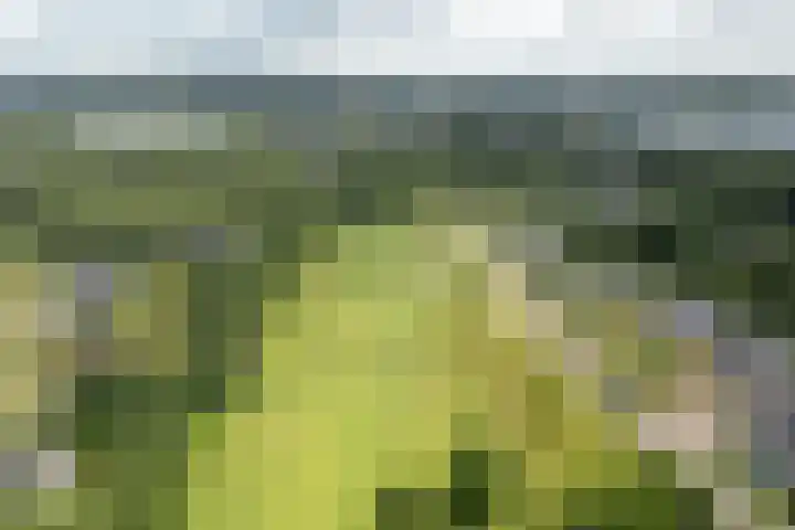 Heidemeer 23 Heerenveen thumbnail 38