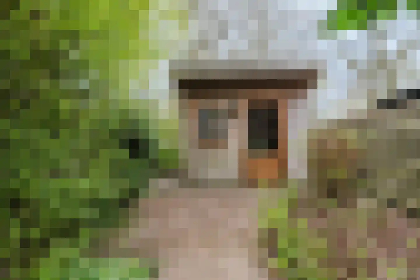 Heidemeer 25 Heerenveen thumbnail 55